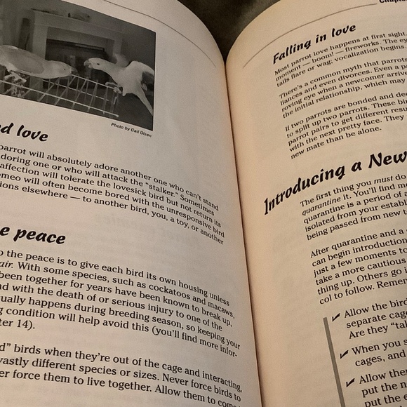 Parrots for Dummies - Picture 5 of 7